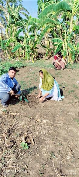 05-06-2022 TREE PLANTATION ON OCASSION ON WORLD ENVIRONMENT DAY  